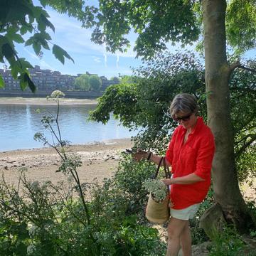 KATE MULLOCK | Artfully Walls