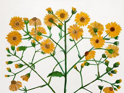 Shop Floral Wall Art