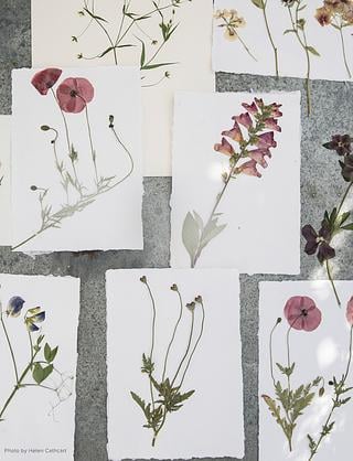 Featured Artist JamJar Edit