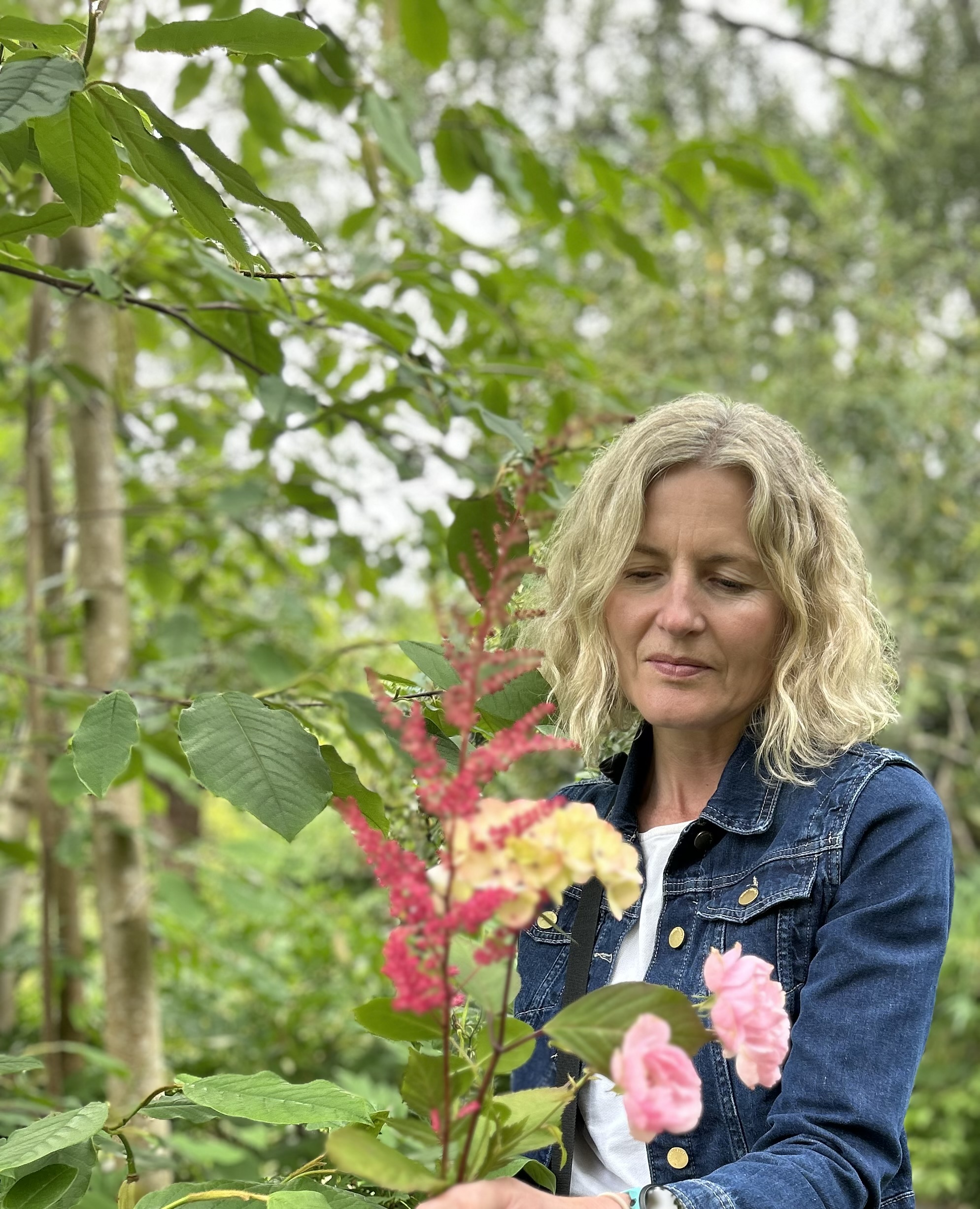 Clare Robinson | Artfully Walls