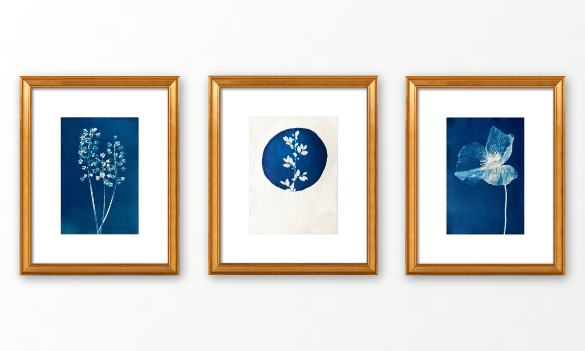 Indigo Expressions