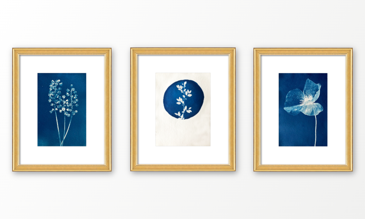 Indigo Expressions