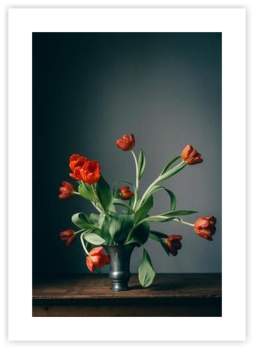 Wild Red Tulips by Janneke Luursema on Artfully Walls | Artfully Walls