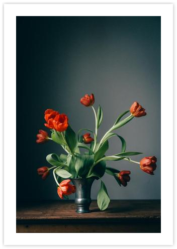 Wild Red Tulips by Janneke Luursema on Artfully Walls | Artfully Walls