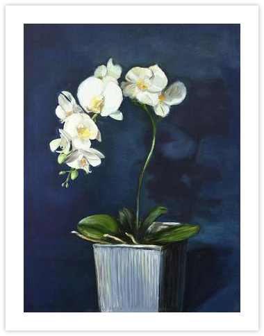 White Orchid on a Dark Blue Background by Marina Kozyr on Artfully