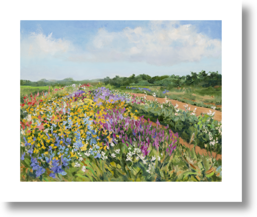 Balsam Farms Flower Field by Casey Chalem Anderson on Artfully