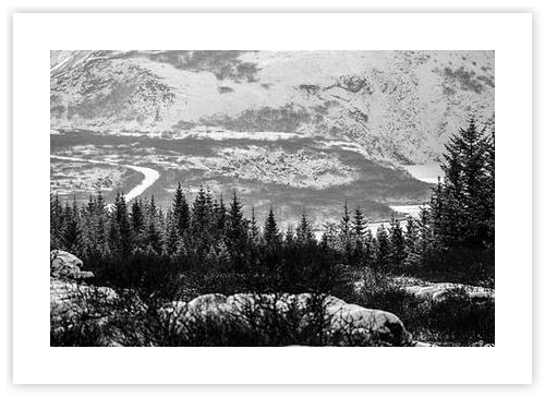 Path through the Winter Valley Monochrome Landscape by Femke
