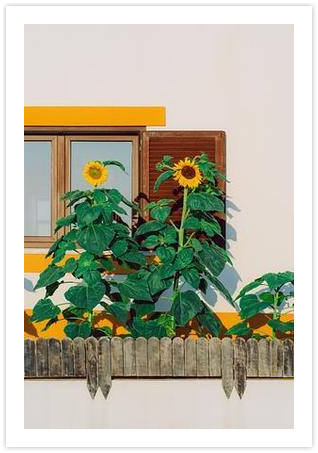 Picture with sunflowers-ひまわり Sunflowers by the window by Victoria Durand on Artfully Walls