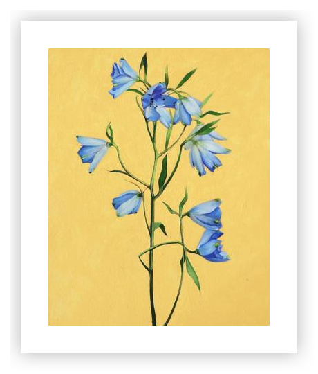 faded bloom フレンチ水彩画 Flower Study: Delphinium by Rose Bird on Artfully Walls | Artfully