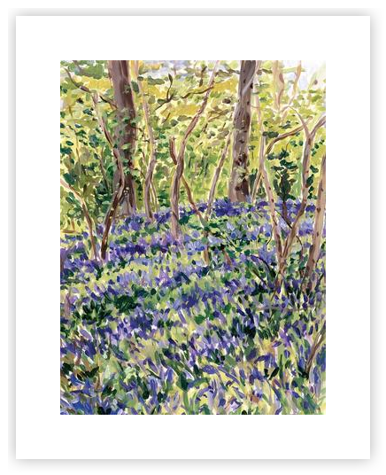 Bluebell woods by Catherine Shaw on Artfully Walls | Artfully Walls