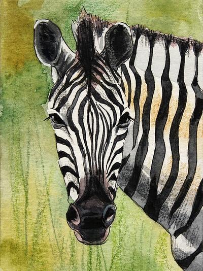 Zebedaios the Zebra by Isabelle Brent on Artfully Walls | Artfully