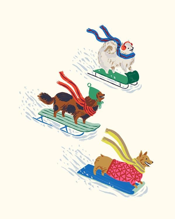 Sledding Dogs