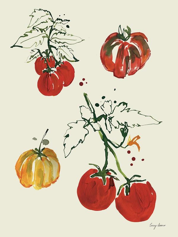Tomatoes
