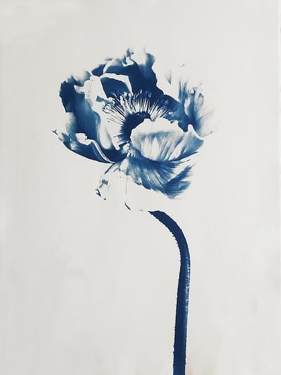 Eternal Flower by Chiara Perano on Artfully Walls | Artfully Walls