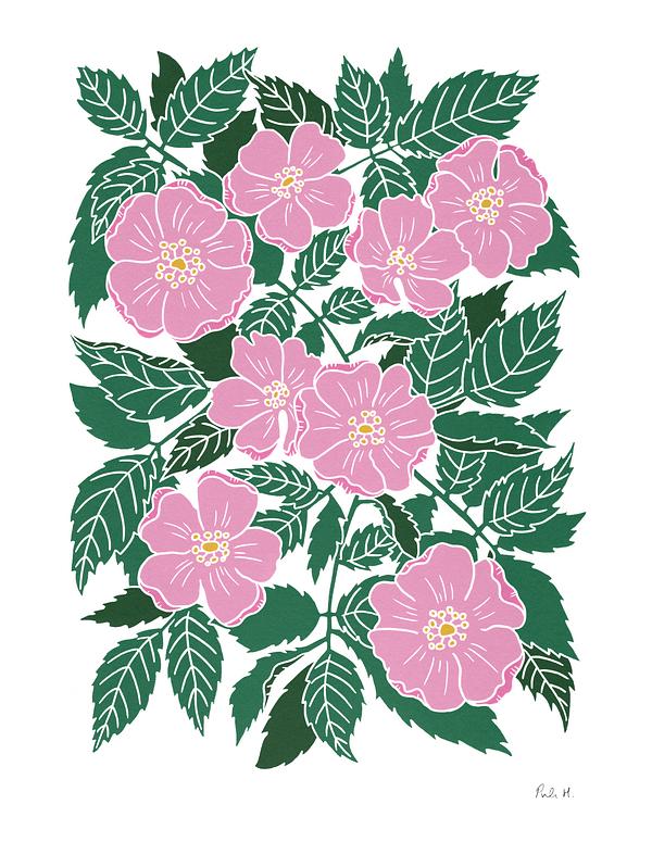 Linocut Dog Rose / Briar Rose / Wild Rose by Pamela Haining on 