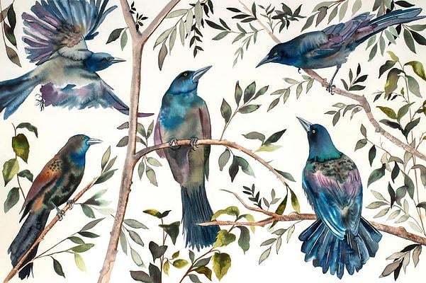 Society6 iPhone4/4S,5用 Midnight Birds by Nikkistrange Mockingbirds by Sirina Ruby on Artfully Walls | Artfully Walls