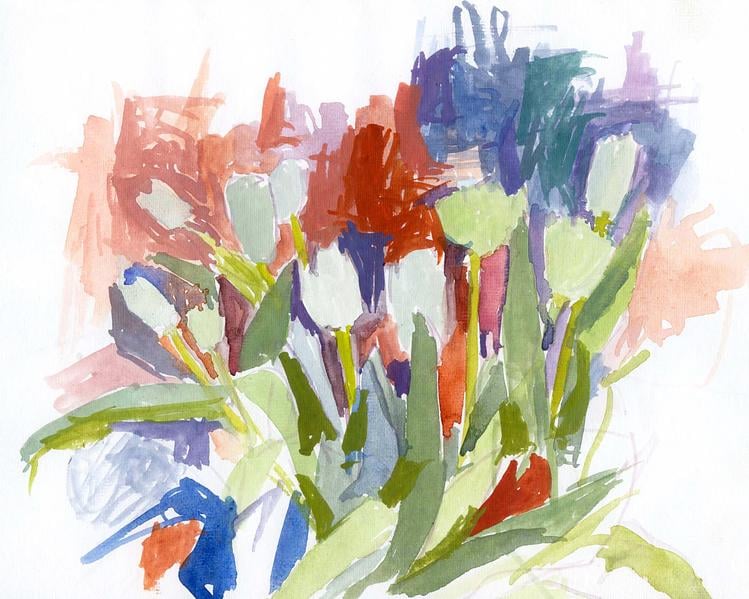 tulipa 2