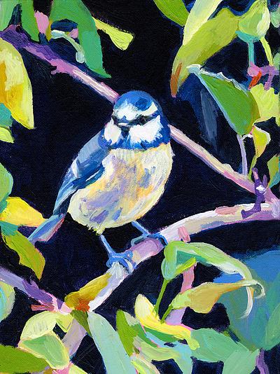 Bird on a Black Background by Tali Yalonetzki on Artfully Walls